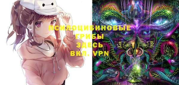 круглые Вяземский
