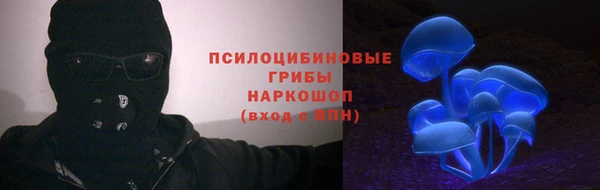 круглые Вяземский